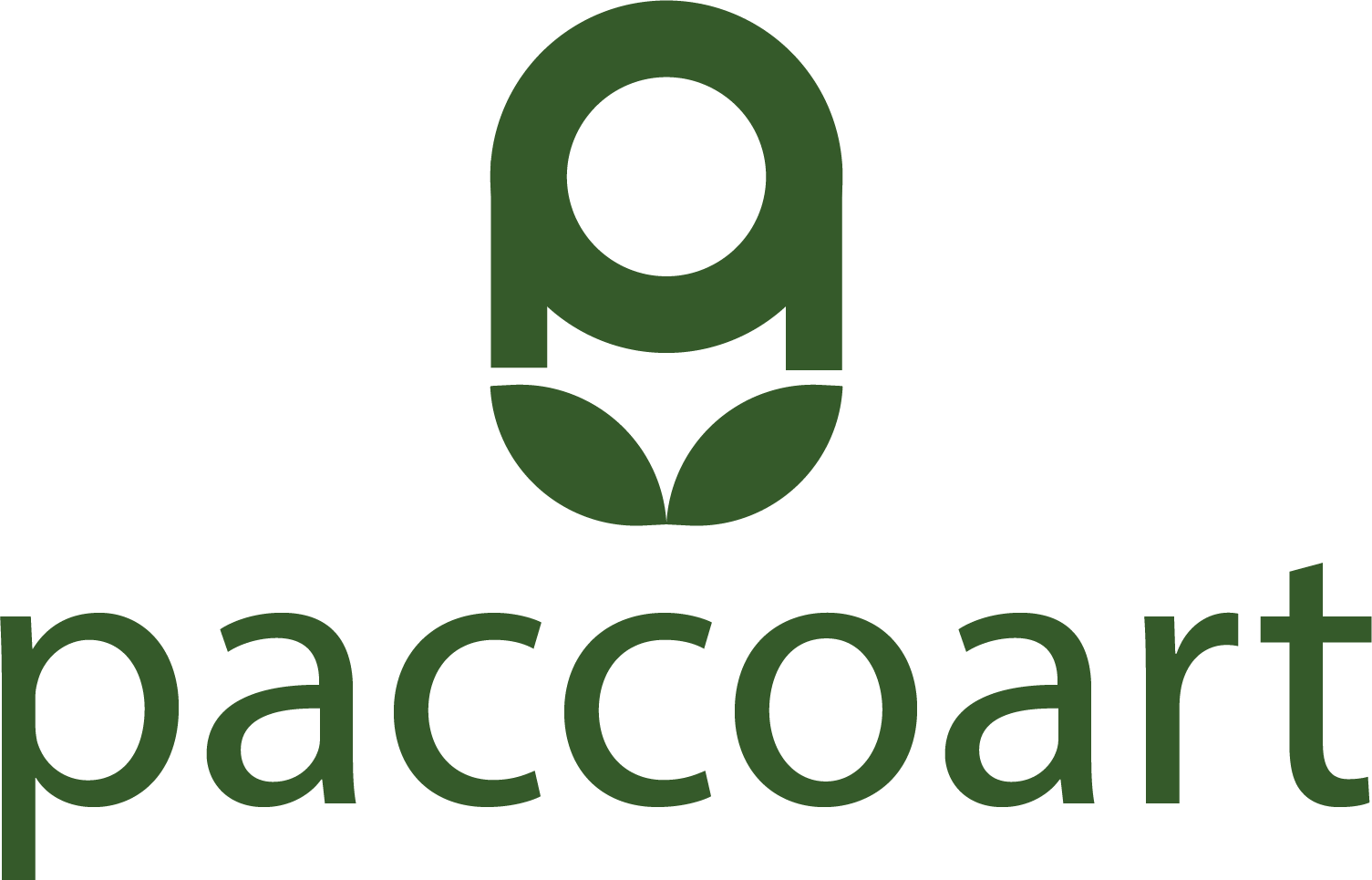 paccoart.com